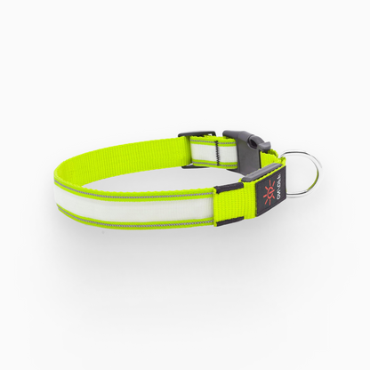 LuxeLight LED Dog Collar