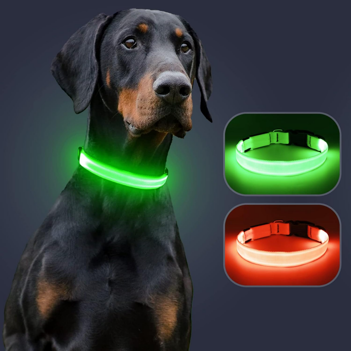 LuxeLight LED Dog Collar