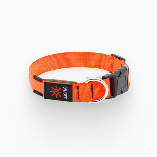 LuxeLight LED Dog Collar