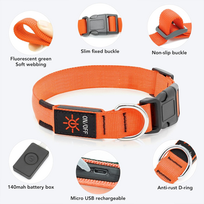 LuxeLight LED Dog Collar